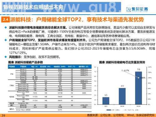重磅深度！【东吴电新】国内大储如火如荼，储能模式及技术多样化发展——国内大储行业专题报告