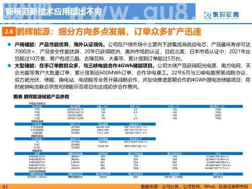 重磅深度！【东吴电新】国内大储如火如荼，储能模式及技术多样化发展——国内大储行业专题报告