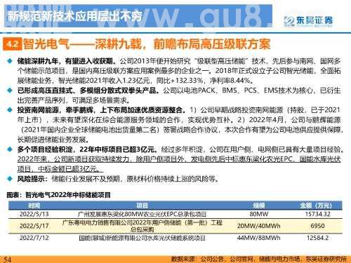 重磅深度！【东吴电新】国内大储如火如荼，储能模式及技术多样化发展——国内大储行业专题报告