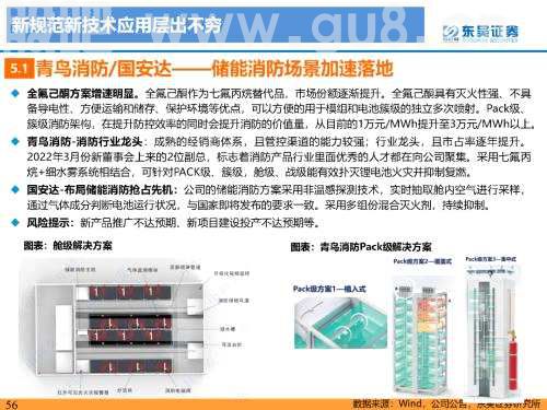 重磅深度！【东吴电新】国内大储如火如荼，储能模式及技术多样化发展——国内大储行业专题报告