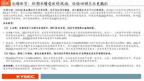 开源证券2022年中期投资策略丨可选消费：从防御到反攻，业绩将见底，估值可提升