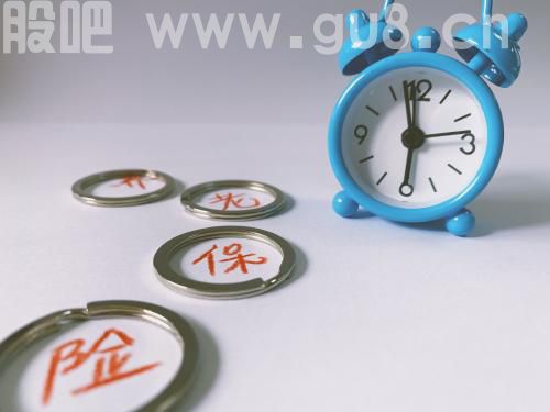 养老保险,养老金