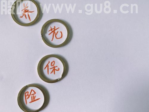 养老保险,养老金