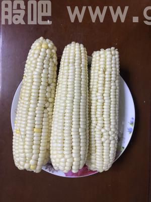 玉米