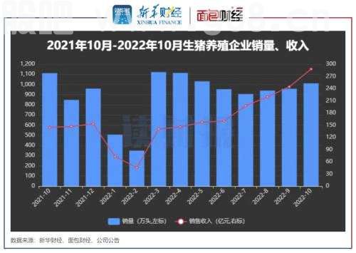 【读财报】猪价回升，上市“猪企”10月销售额同比增长99%